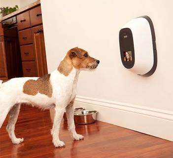 PetChatz Pet Camera and Treat Dispenser