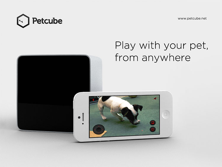 PetCube Play With Your Pet From Your Phone