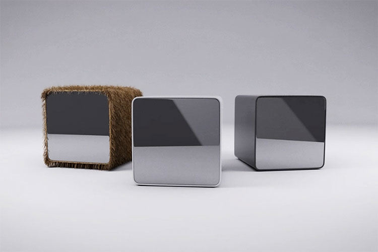 PetCube Play With Your Pet From Your Phone