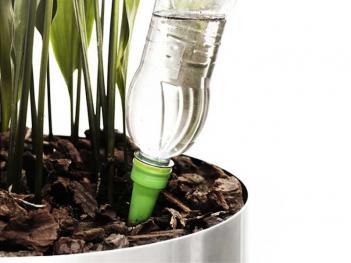 Plants Self Watering Cone