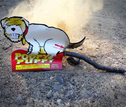 Pooping Dog Fireworks
