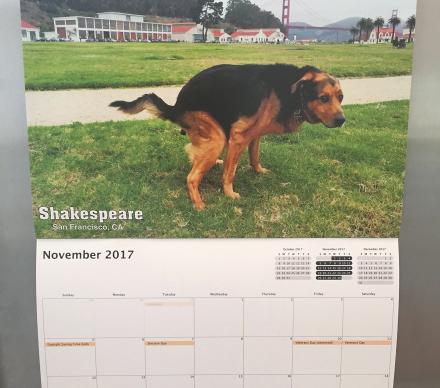 Pooping Pooches Calendar 2017