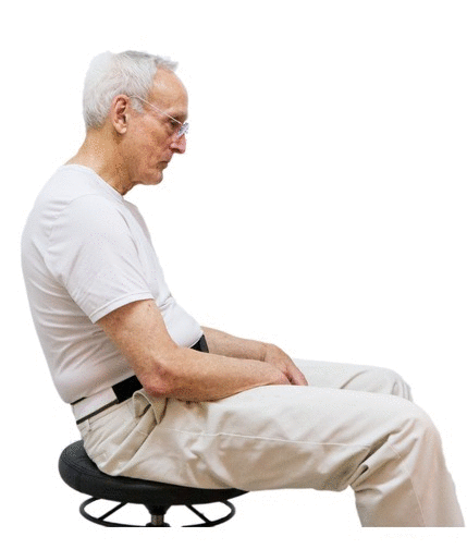 Posture Pulse