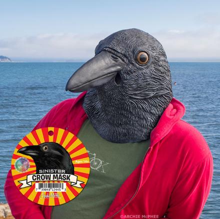 Realistic Crow Head Mask