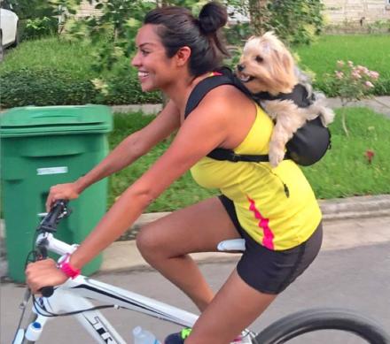 Ruffit Dog Carrier Backpack – Carry Your Dog On Your Back