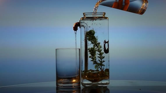 Self Cleaning Fish Aquarium 1