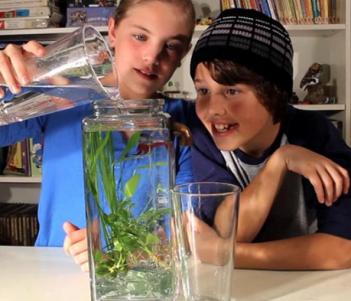 Self Cleaning Fish Aquarium