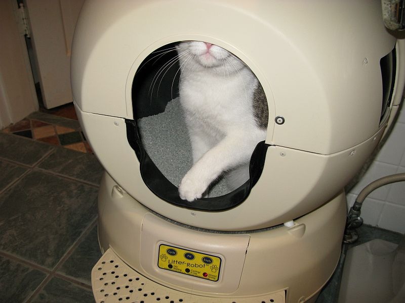 Self Cleaning Kitty Litter Robot
