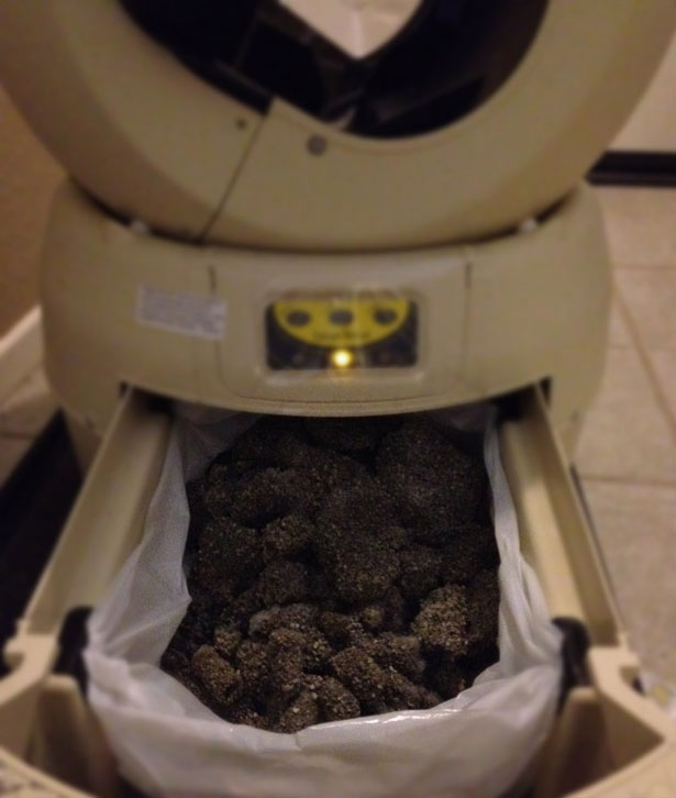 Self Cleaning Kitty Litter Robot