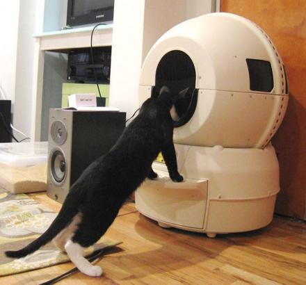 Self-Cleaning Kitty Litter Robot