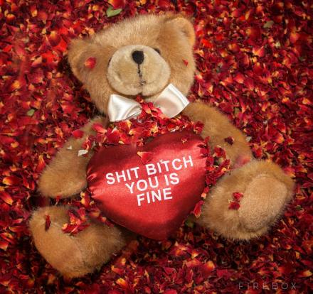 Shit Bitch You Is Fine Teddy Bear