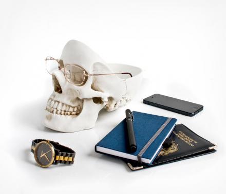Skull Shaped Desk Organizer