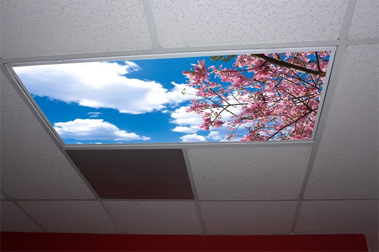 Sky Panel Light Fixture Cover - Bright blue sky office lights cover