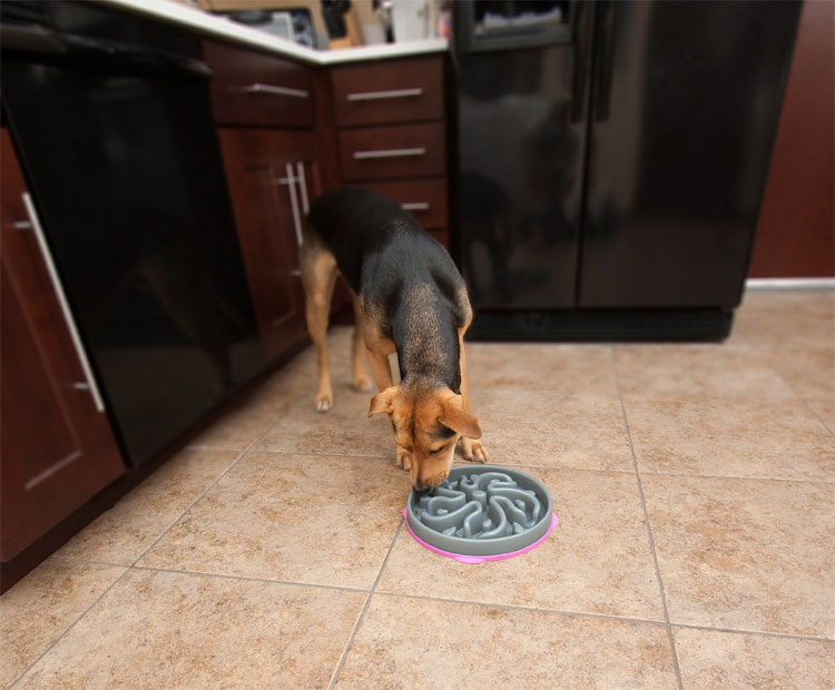 Slo-Bowl Dog Bowl For Slower Feeding