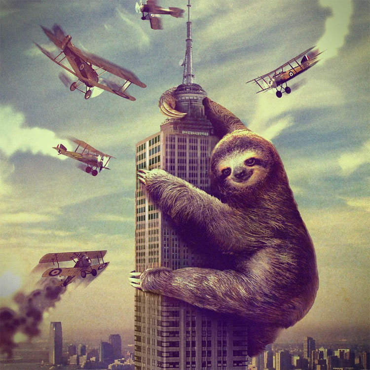 Sloth Shower Curtain