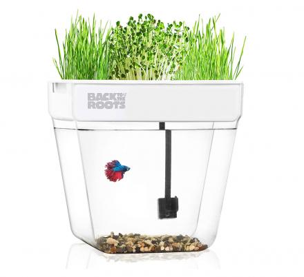 This Self-Cleaning Fish Tank Garden Grows Food Using Your Your Fish’s Waste