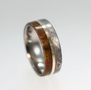 Dinosaur Bone, Meteorite Rock, and Gold Ring