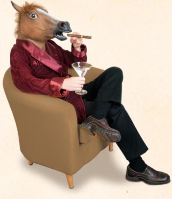 Realistic Horse Head Mask