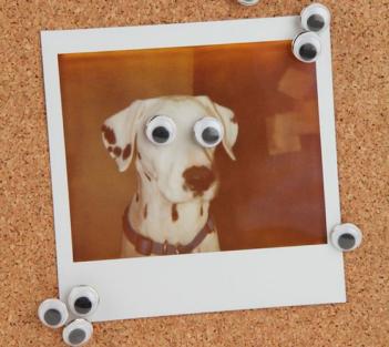 Googly Eyes Push Pins
