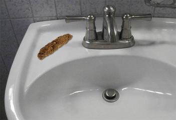Poop Soap