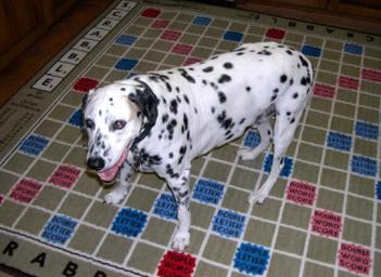 Giant Scrabble Rug
