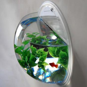 Wall Mounted Aquarium Bowl