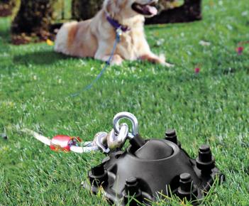 SureSwivel Tangle Free Dog Tether