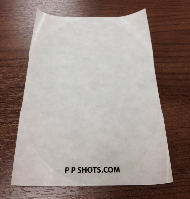 PP Shots Toilet Target Adhesive Photo Protector