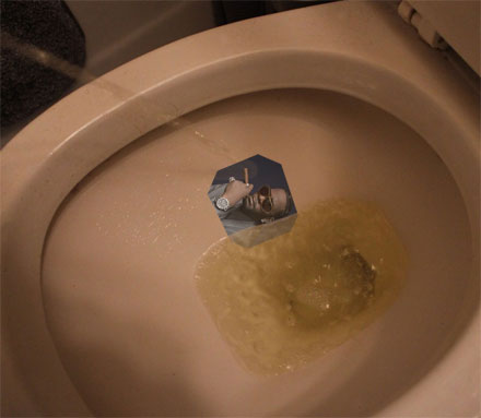 Toilet Target Stickers