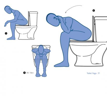 Toilet Yoga Book