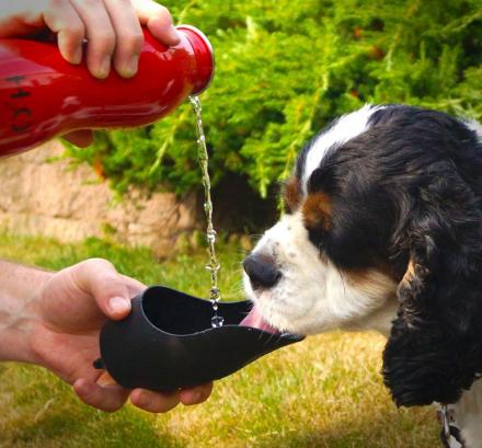 Travel Water Bottle For Dogs – The Cap Is The Bowl