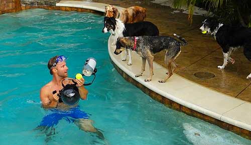 Underwater Dogs Book 12