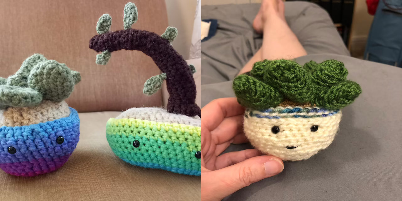 Adorable Crochet House Plants