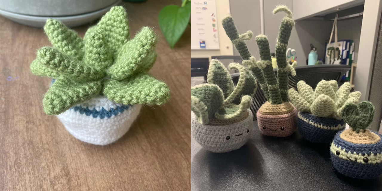 Adorable Crochet House Plants