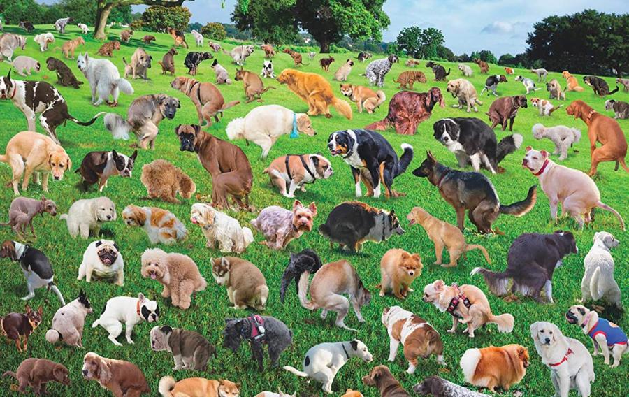 Pooping Dogs Puzzle
