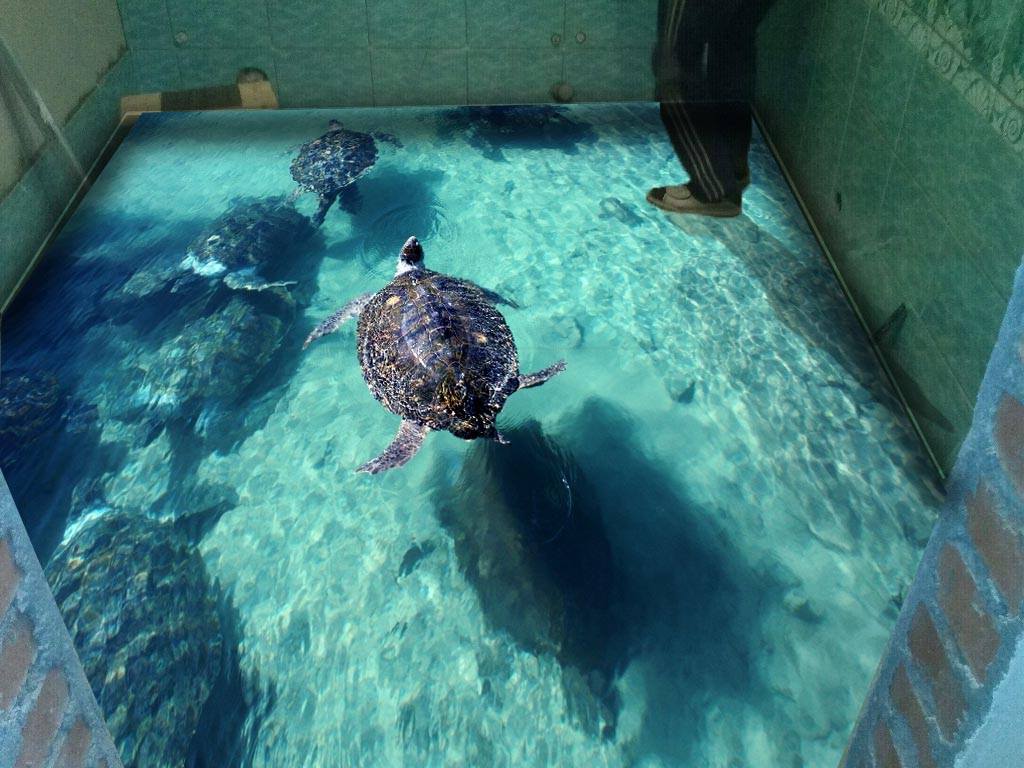 3D Epoxy Floors That Will Turn Your Room Into a Beach - illusion 3d flooring