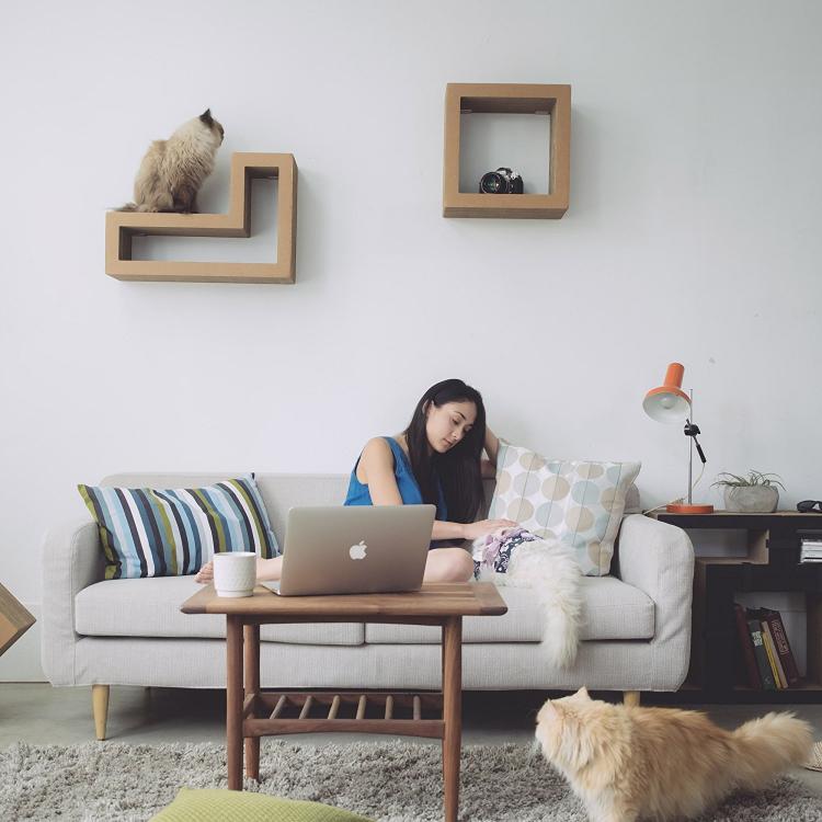 Katris Modular Cat Shelves - Tetris Shaped Cat Blocks - Tetris Cat Toy