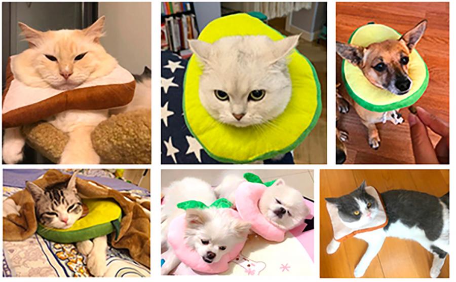 Adorable Slice Of Bread Toast Cat Cone