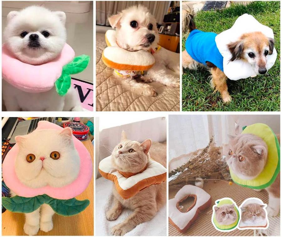 Adorable Slice Of Bread Toast Cat Cone
