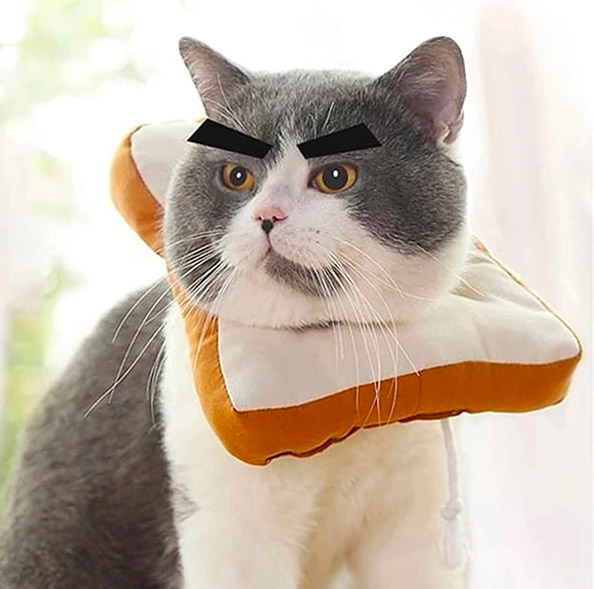 Adorable Slice Of Bread Toast Cat Cone