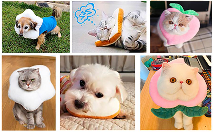 Adorable Slice Of Bread Toast Cat Cone
