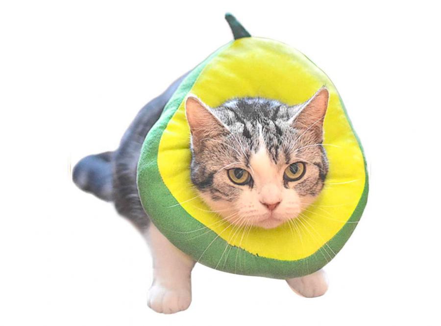 Adorable Avocado Cat Cone
