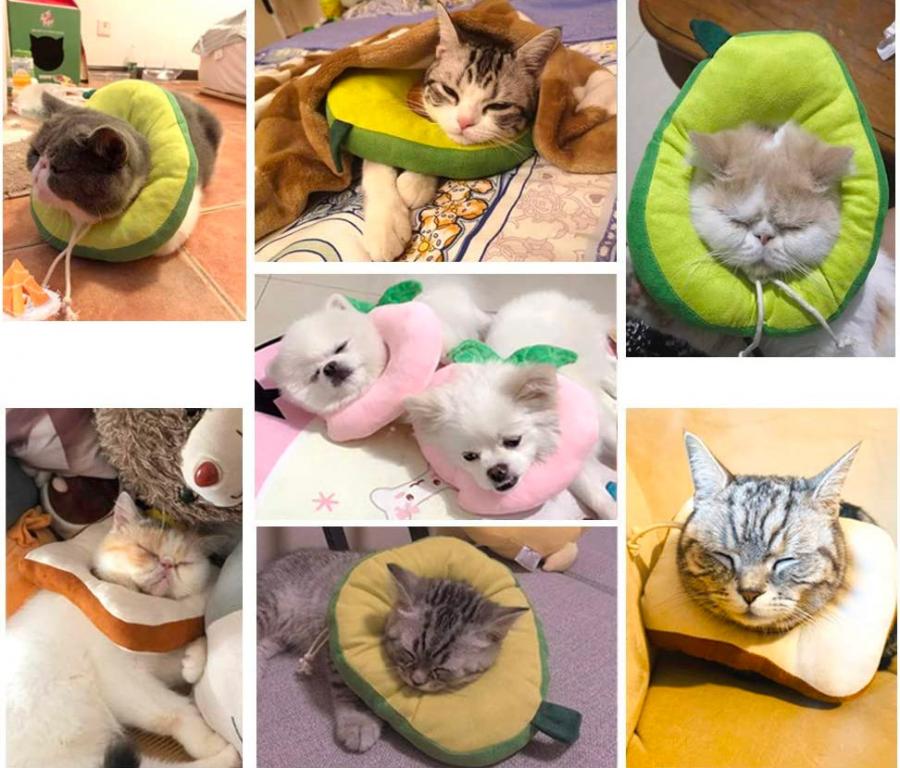 Adorable Slice Of Bread Toast Cat Cone