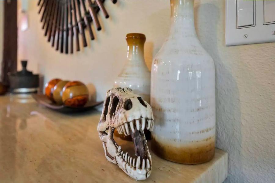 Dino-Themed Airbnb With Giant Dinosaur Beds - Dinosaur vacation rental home