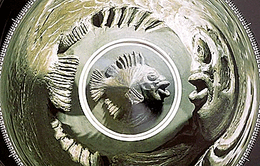 Anamorphic Calendar - View Cone Through Certain Angle