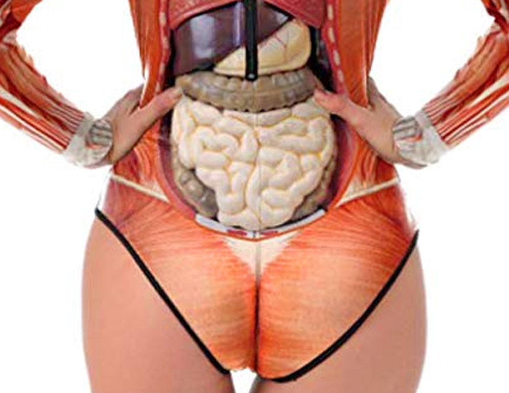 Anatomically Correct Swimsuit Halloween Costume - Funny guts women's swimsuit costume/cosplay