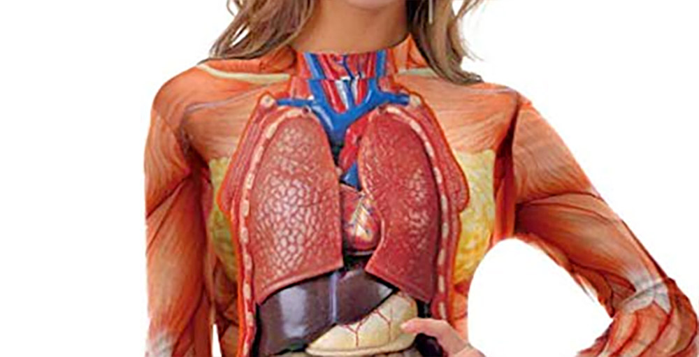 Anatomically Correct Swimsuit Halloween Costume - Funny guts women's swimsuit costume/cosplay