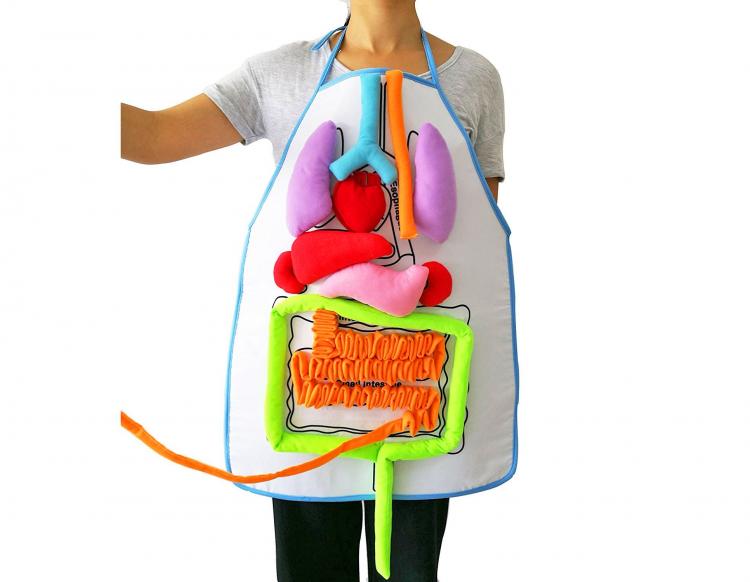 Anatomy Kids Apron Educates Children On Body Organs - Body organ teaching velco apron