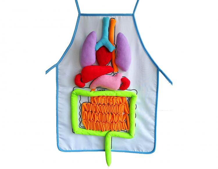 Anatomy Kids Apron Educates Children On Body Organs - Body organ teaching velco apron
