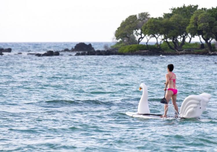 Stand-up Paddle-Board Floats Turn Your Board Into a swan - swan floats for SUP